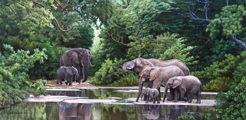 Elefantenherde auf abgelegenen Fluss Ölgemälde